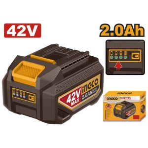 FBLI42201