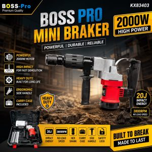 BOSS PRO